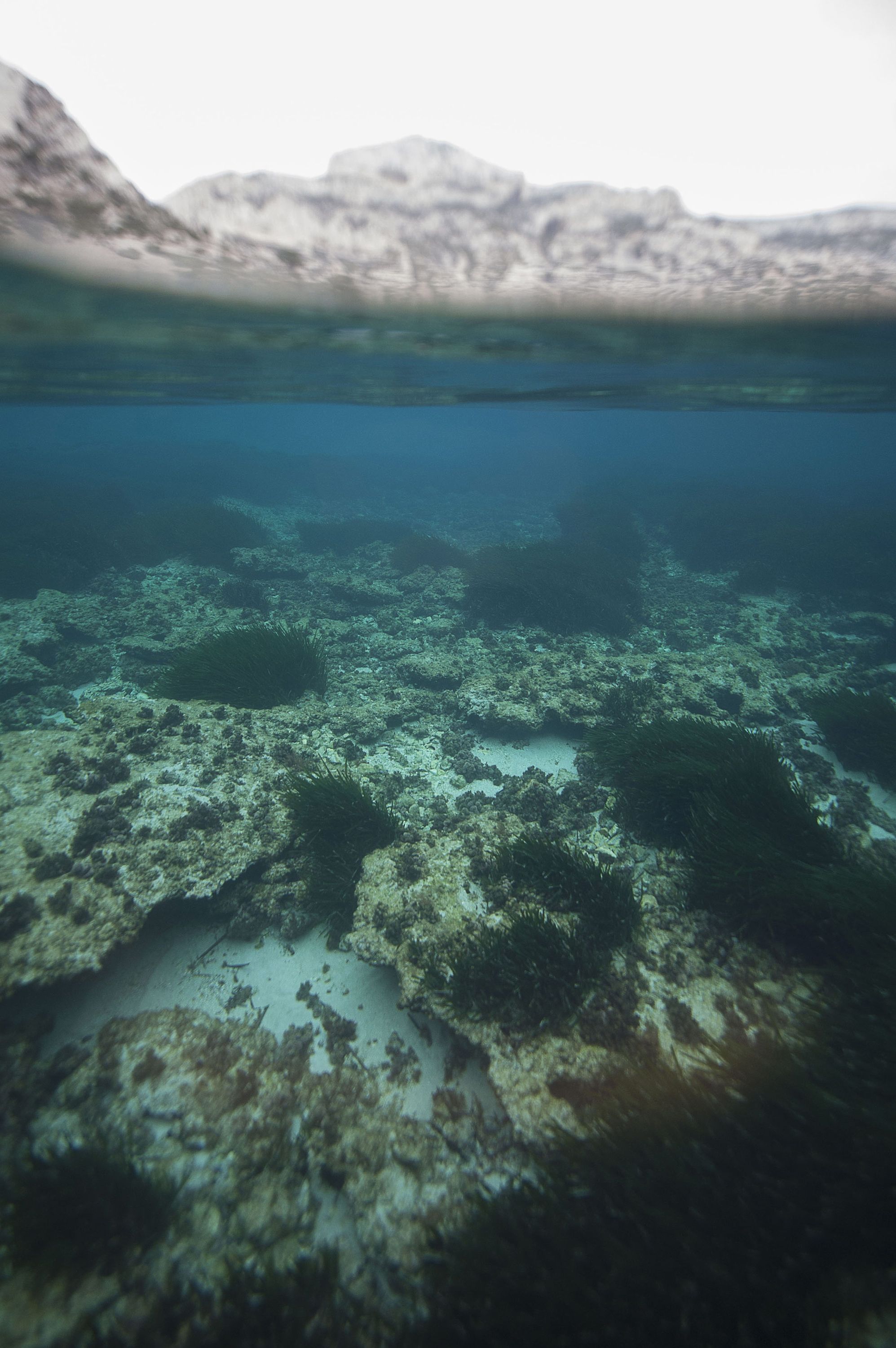 海底レアメタル発見で温暖化対策と環境破壊にジレンマ