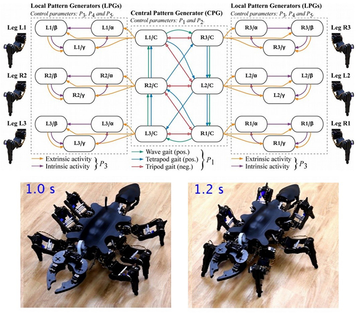 アリやゴキブリの動きを模倣、東工大が6脚ロボットを開発