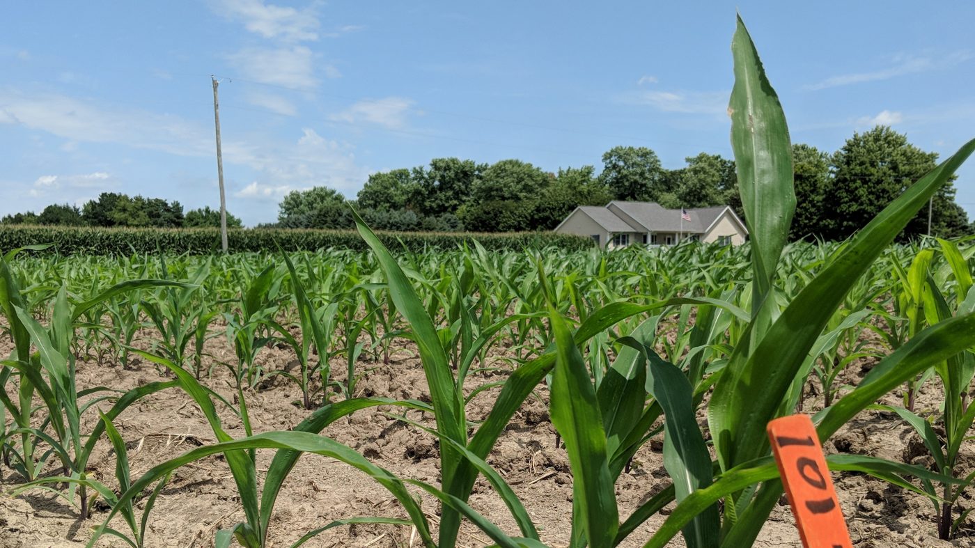 合成肥料に代わる植物向け善玉菌、ゲイツ支援のバイオ企業発売へ