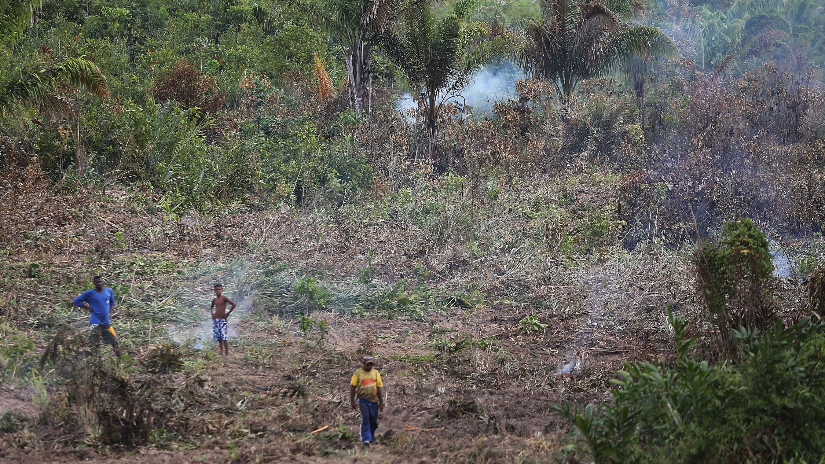 「ブラジル版トランプ」誕生で地球規模の気候変動リスク