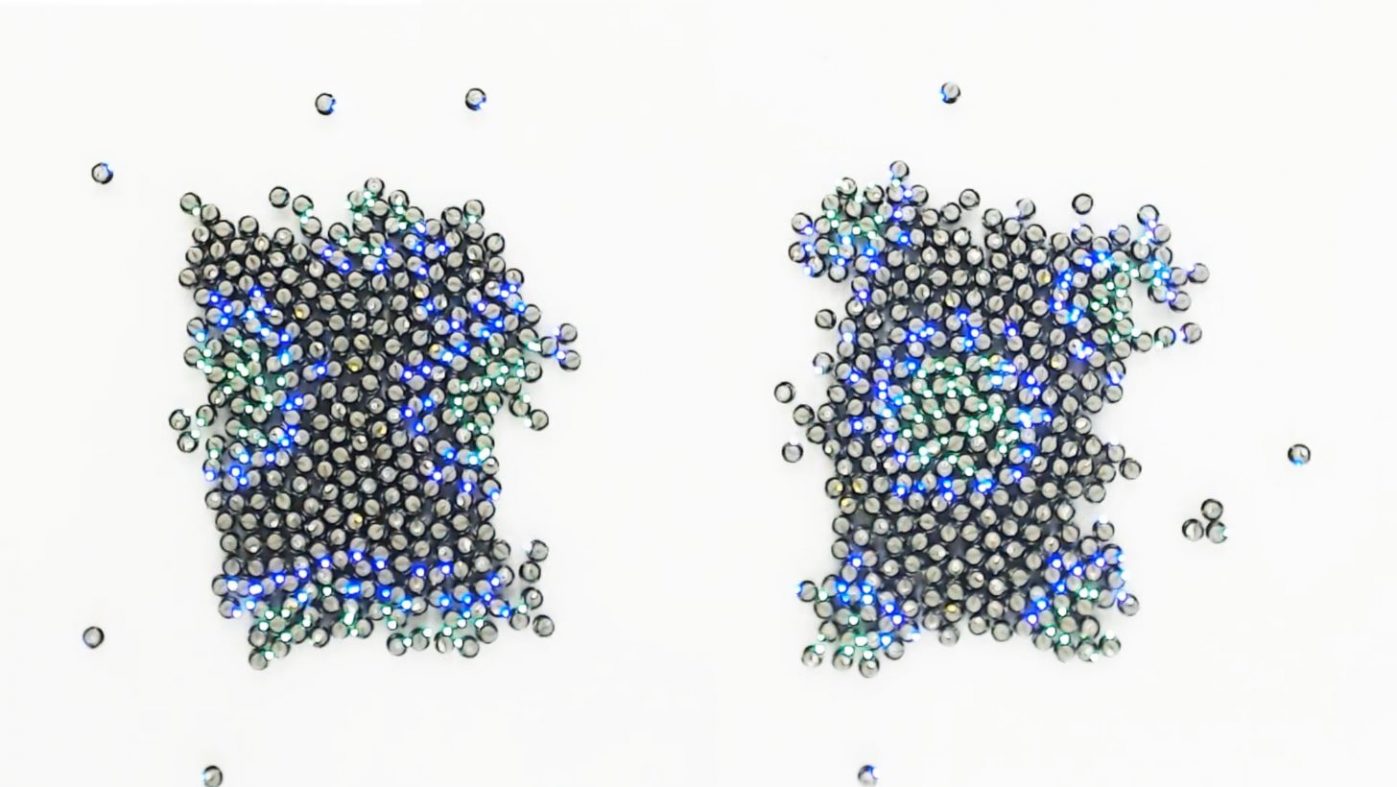 生物学に触発、細胞のように振る舞う自律ロボット群