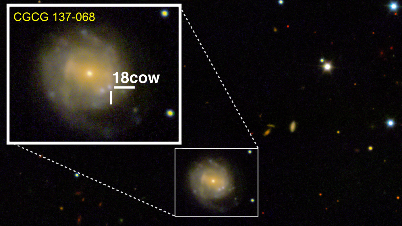 「星がブラックホールになる瞬間」を初観測か？