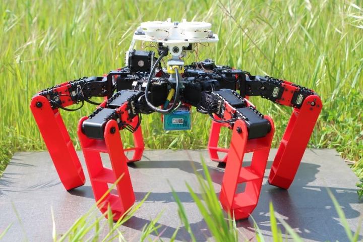 GPS不要、「天空コンパス」で元の場所に戻る砂漠アリロボット