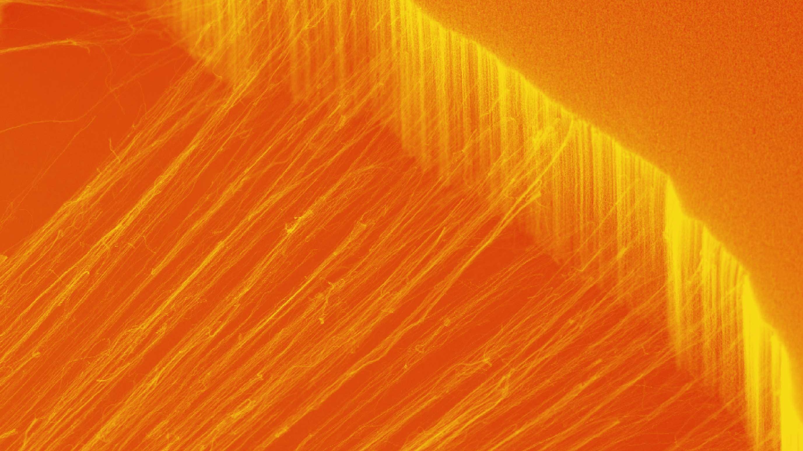 東大、熱を一方向のみに伝えるナノチューブ新素材を開発