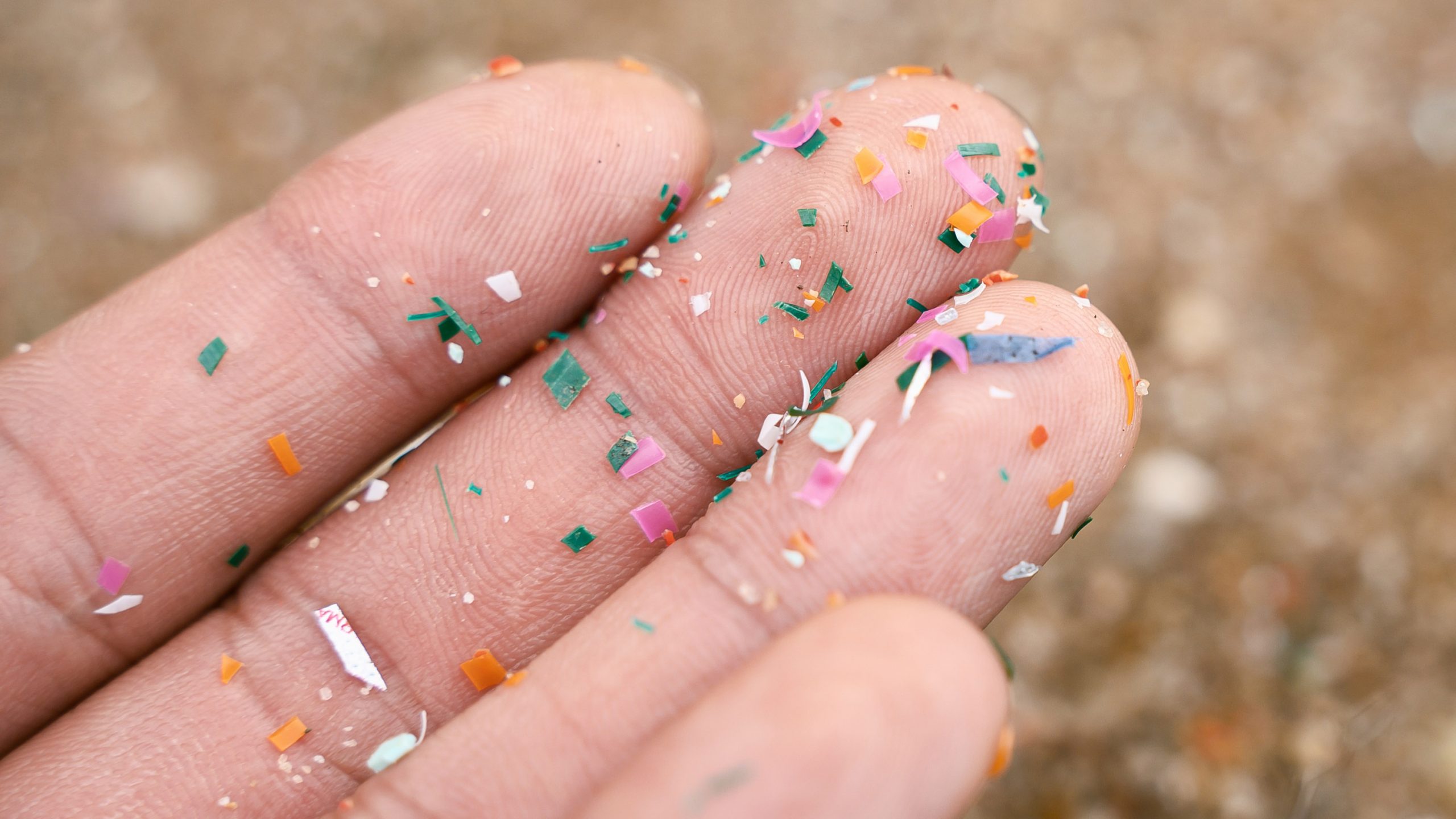 マイクロプラスチックは人体にどう影響するのか