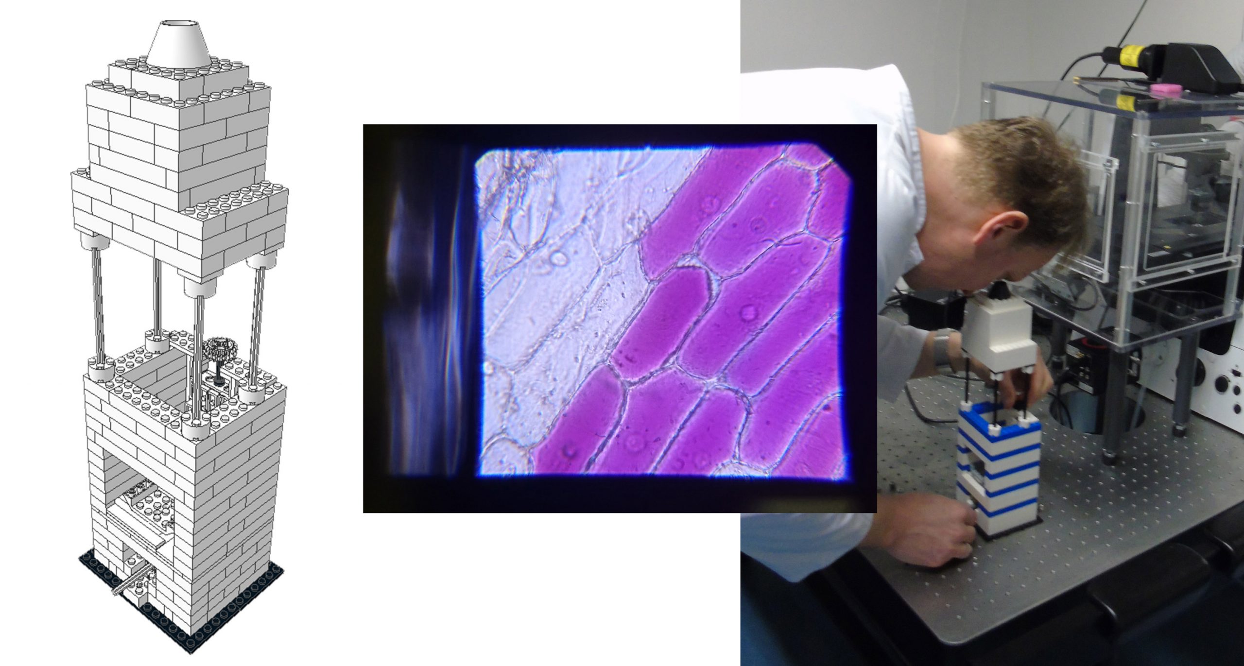 rendering of LEGO microscope with image from microscope and photo of Betz looking into the microscope