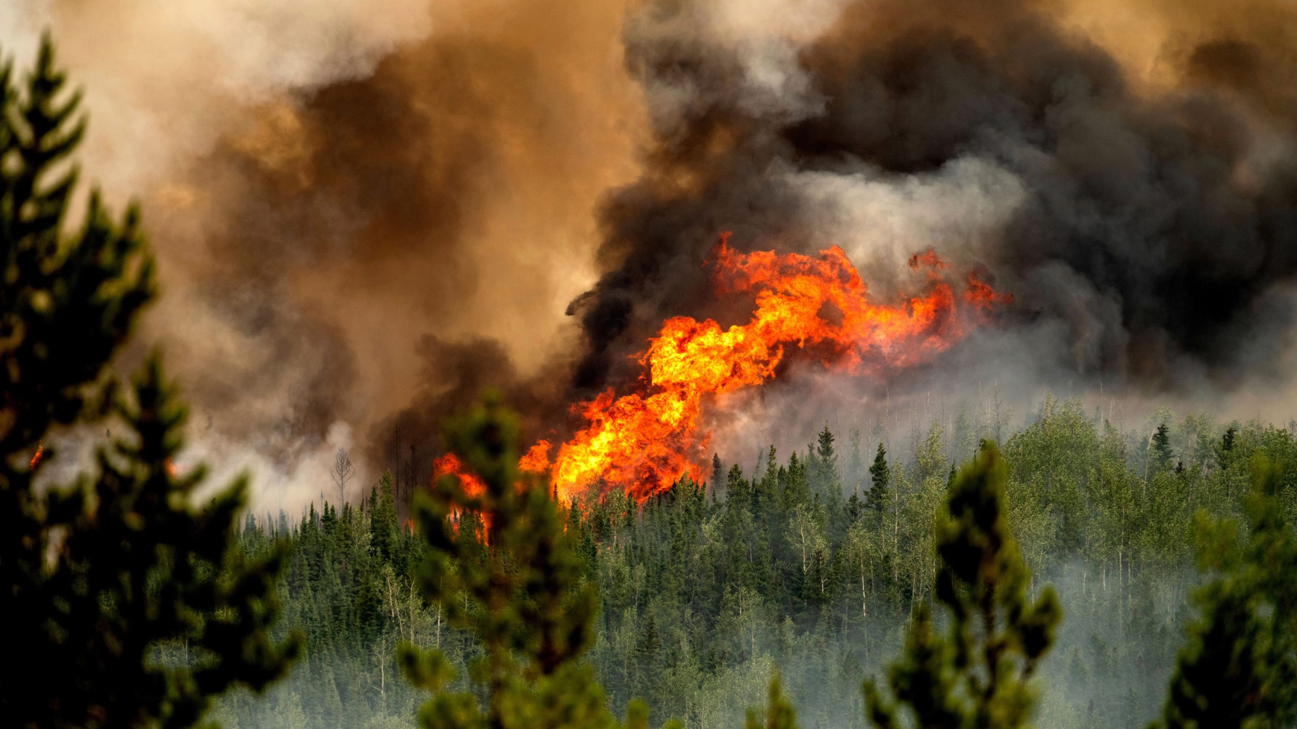 カナダの記録的山火事で明らかになった気候変動の悪循環